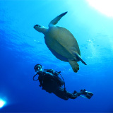 ファンダイビング