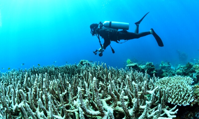 水中を泳ぐダイバー