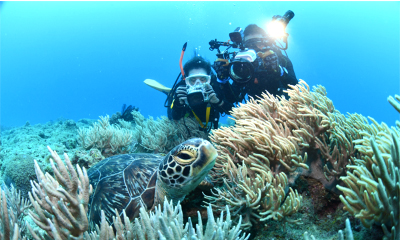 ファンダイビング